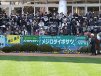 メジロダイボサツのたくさんの横断幕が