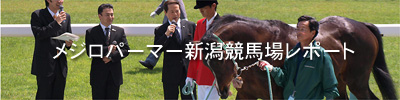 メジロパーマー新潟競馬場レポート